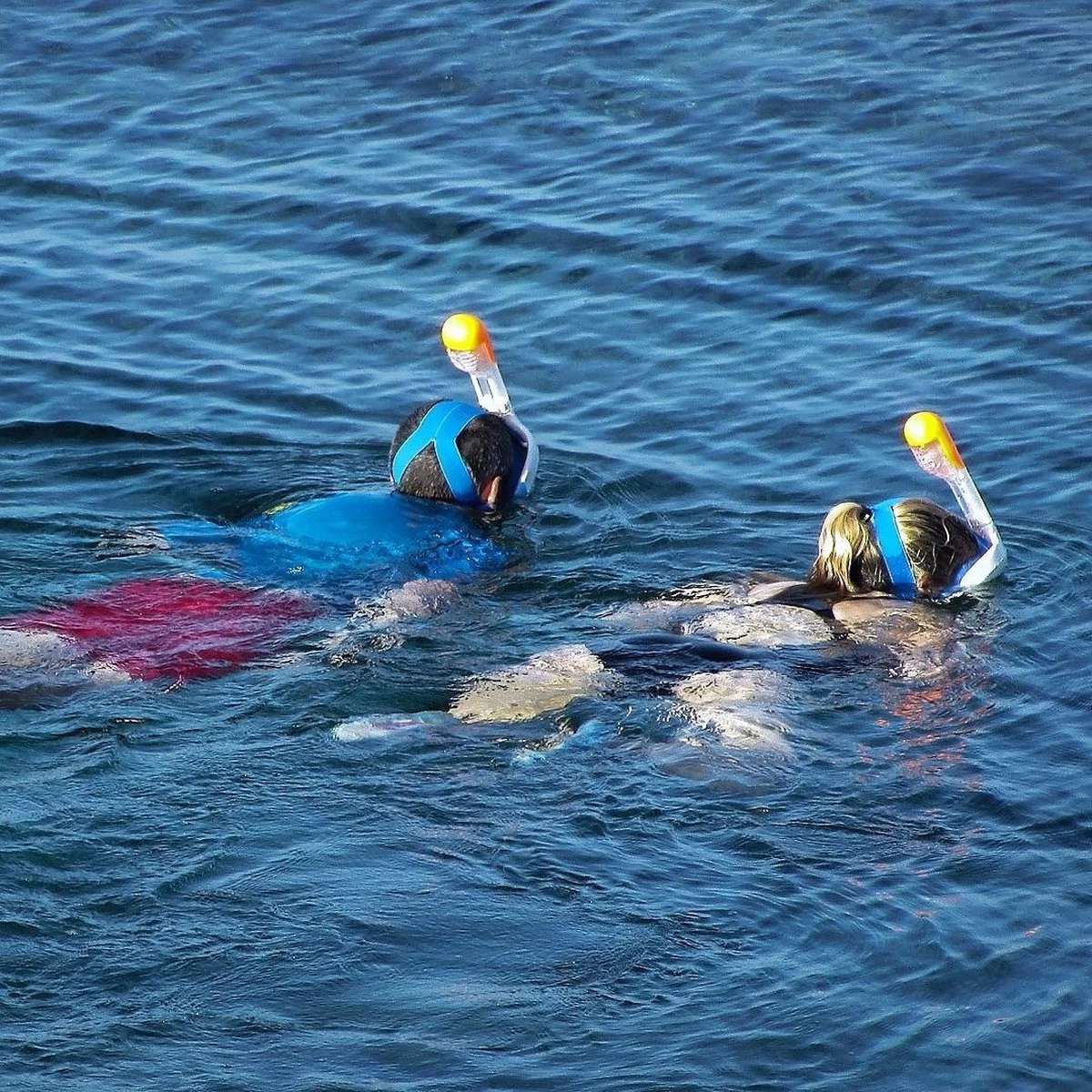 Gadgy Duikmasker Full Face Kinderen - Duikbril Met Snorkel - Snorkelset Kinderen - Snorkelmasker - Blauw 10 Gadgy Duikmasker Full Face Kinderen - Duikbril Met Snorkel - Snorkelset Kinderen - Snorkelmasker - Blauw - Afbeelding 8